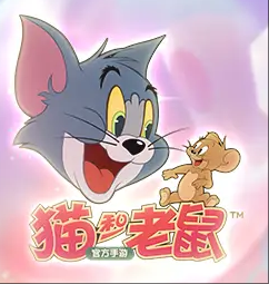 猫和老鼠